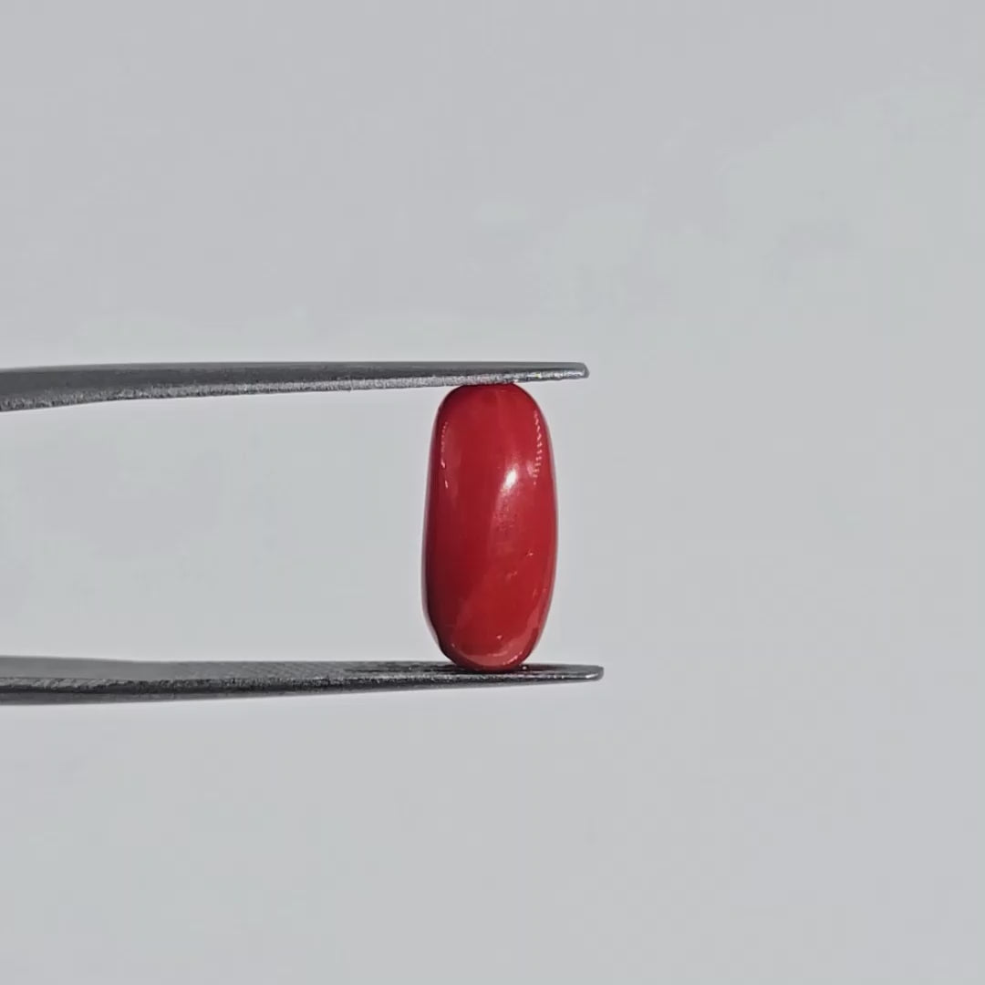 Natural Red Coral (Moonga) - 3.95 Carats