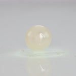
                    
                      Load and play video in Gallery viewer, Natural Fresh Water Pearl - 4.76 Carats V
                    
                  