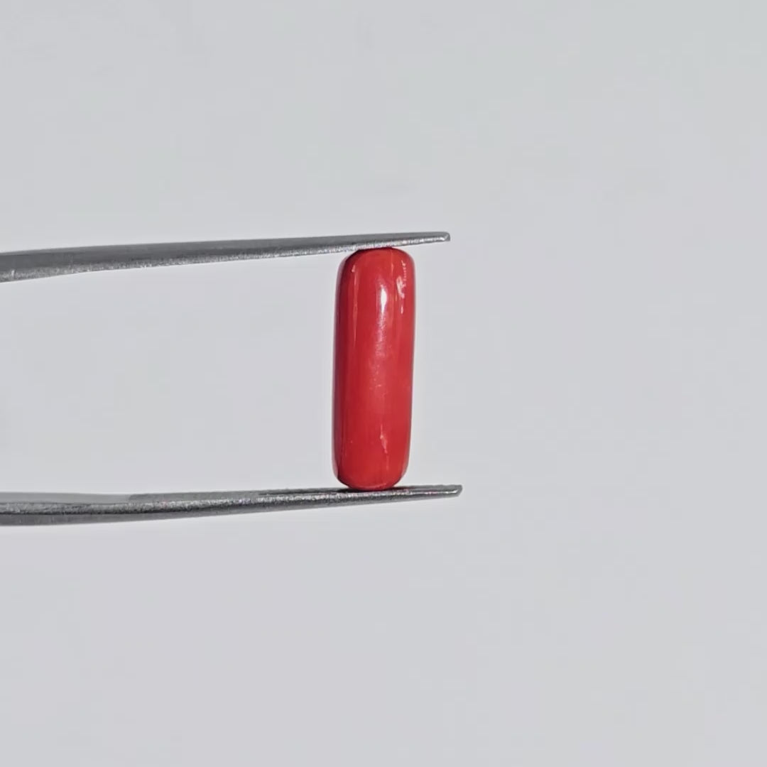 Natural Red Coral (Moonga) - 3.50 Carats