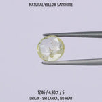 
                    
                      Load and play video in Gallery viewer, Yellow Sapphire - 1246-4.90Ct-5
                    
                  