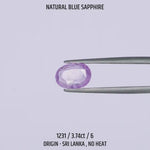
                    
                      Load and play video in Gallery viewer, Blue Sapphire - 1231-3.74Ct-6
                    
                  