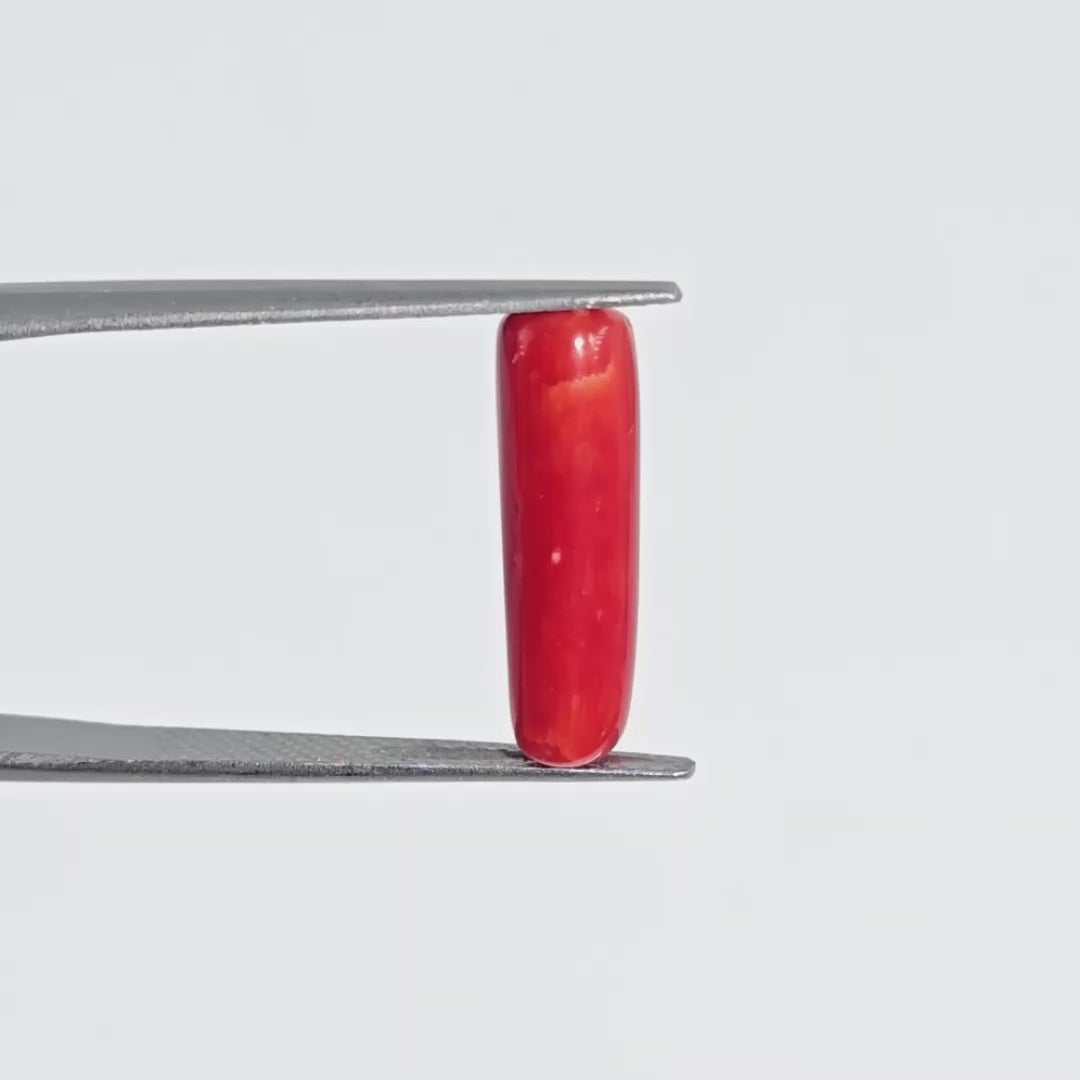 Natural Red Coral (Moonga) - 6.65 Carats