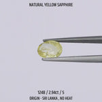 
                    
                      Load and play video in Gallery viewer, Yellow Sapphire - 1248-2.94Ct-5
                    
                  