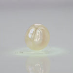 
                    
                      Load and play video in Gallery viewer, Natural Fresh Water Pearl - 5.6 Carats V
                    
                  