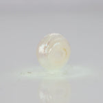 
                    
                      Load and play video in Gallery viewer, Natural Fresh Water Pearl - 4.76 Carats V
                    
                  