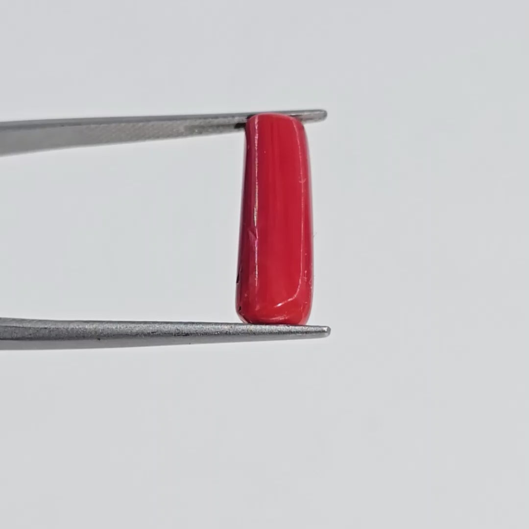 Natural Red Coral (Moonga) - 3.95 Carats