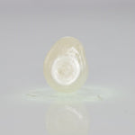 
                    
                      Load and play video in Gallery viewer, Natural Fresh Water Pearl - 4.27 Carats V
                    
                  