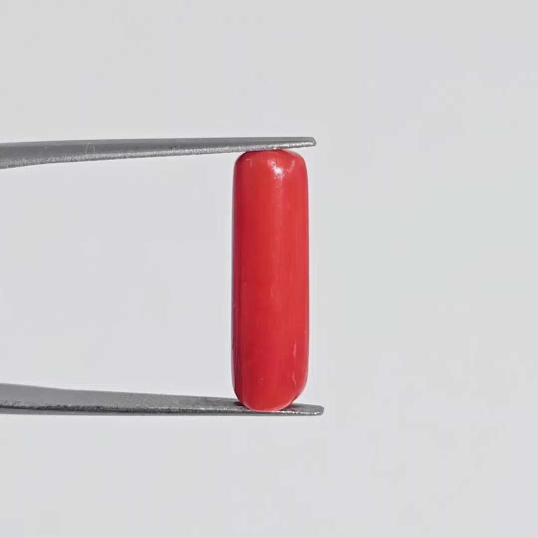 Natural Red Coral (Moonga) - 7.25 Carats
