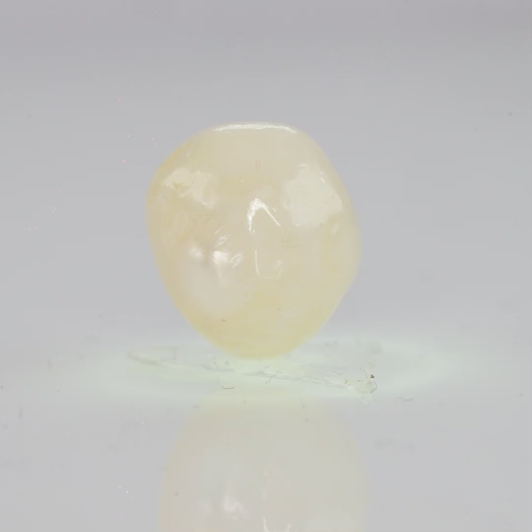 Natural Fresh Water Pearl - 8.99 Carats V