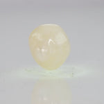 
                    
                      Load and play video in Gallery viewer, Natural Fresh Water Pearl - 8.99 Carats V
                    
                  