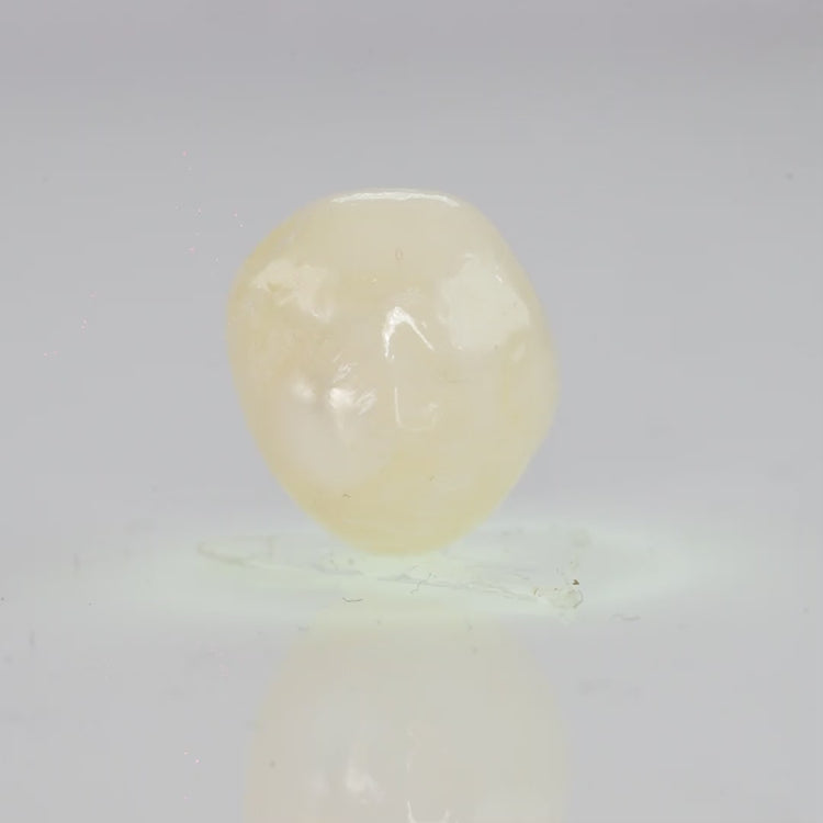 Natural Fresh Water Pearl - 8.99 Carats V