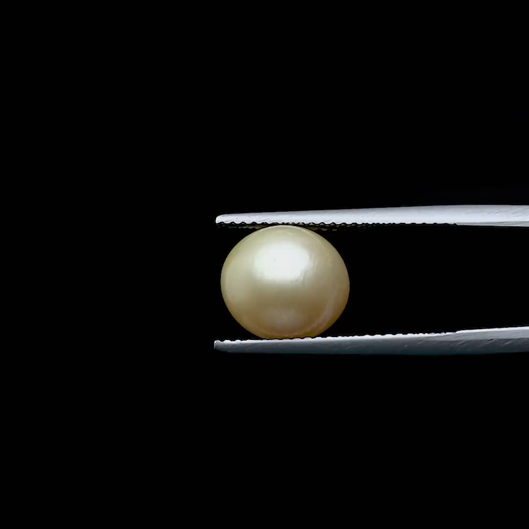 South Sea Pearl - 6.43 Carats