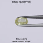 
                    
                      Load and play video in Gallery viewer, Yellow Sapphire - 1237-3.53Ct-5
                    
                  