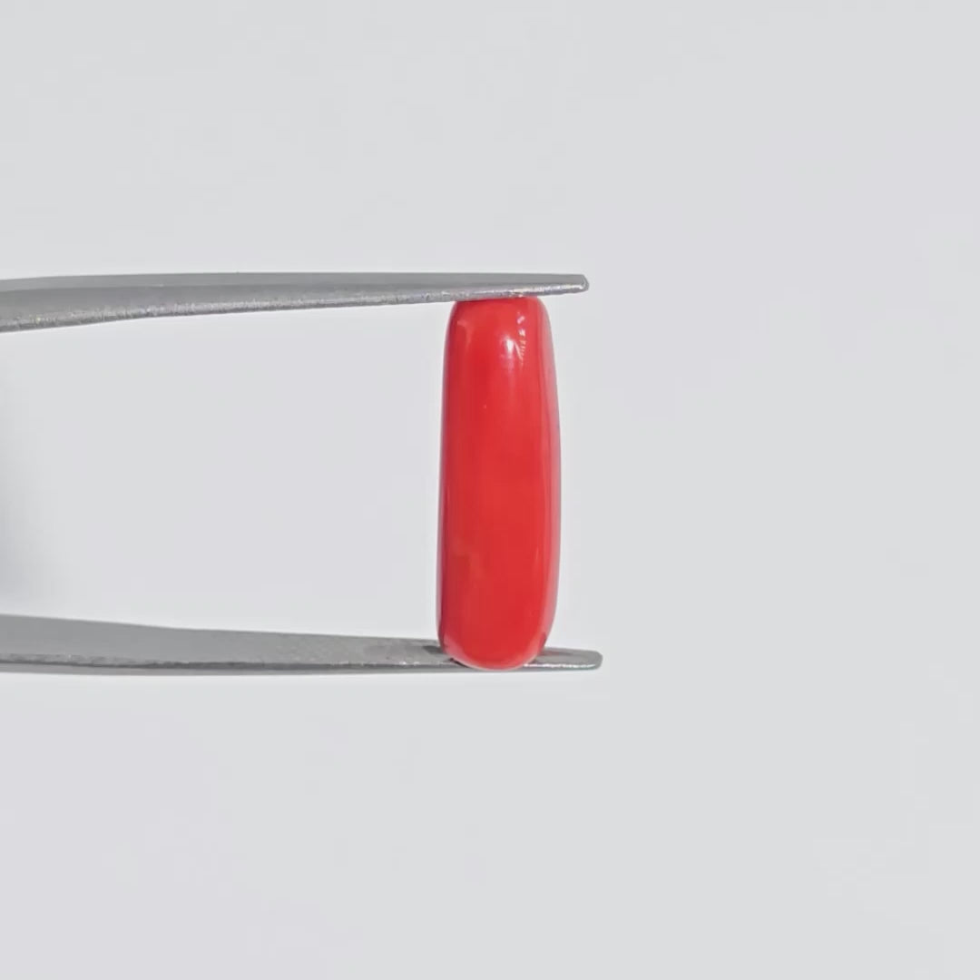 Natural Red Coral (Moonga) - 6.40 Carats