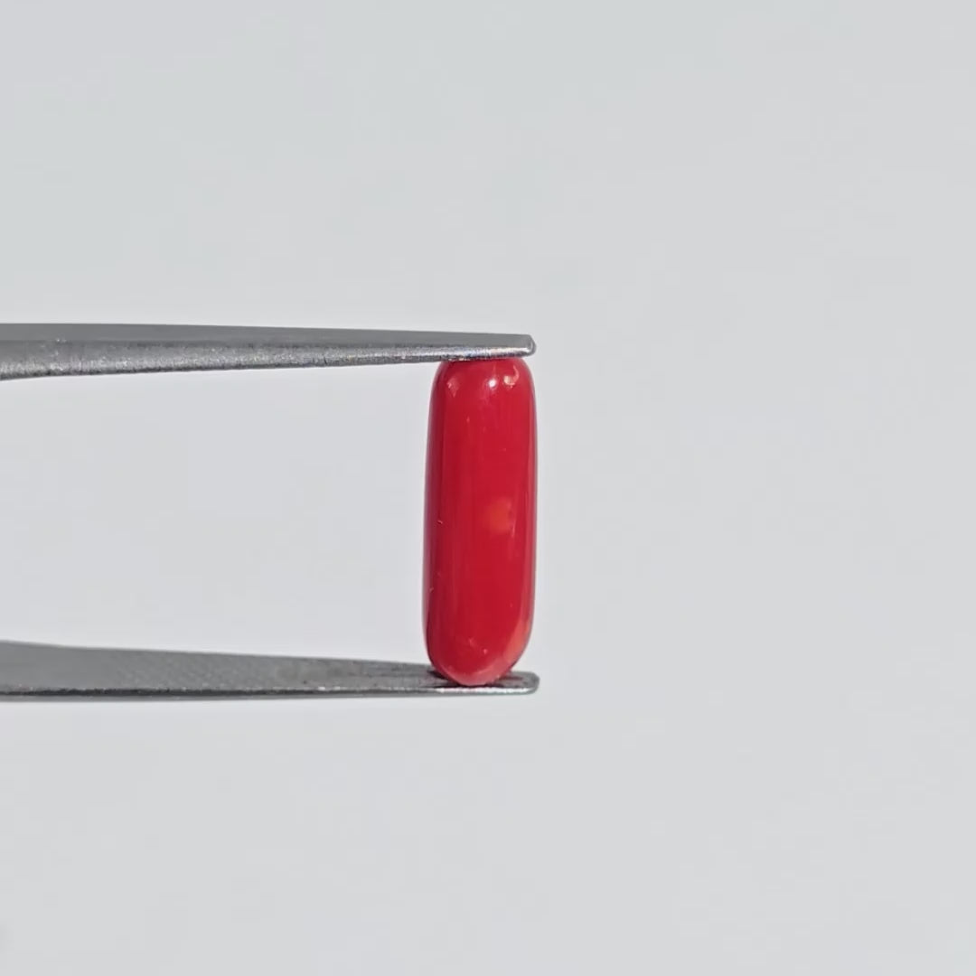 Natural Red Coral (Moonga) - 3.35 Carats