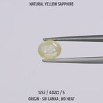 
                    
                      Load and play video in Gallery viewer, Yellow Sapphire - 1253-4.02Ct-5
                    
                  