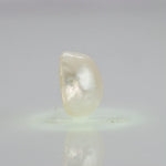 
                    
                      Load and play video in Gallery viewer, Natural Fresh Water Pearl - 4.86 Carats V
                    
                  