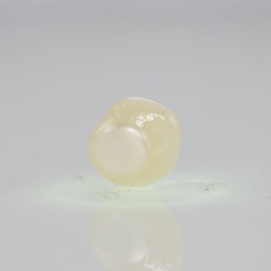 Natural Fresh Water Pearl - 4.03 Carats V