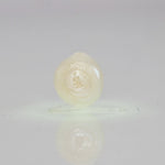 
                    
                      Load and play video in Gallery viewer, Natural Fresh Water Pearl - 3.62 Carats V
                    
                  