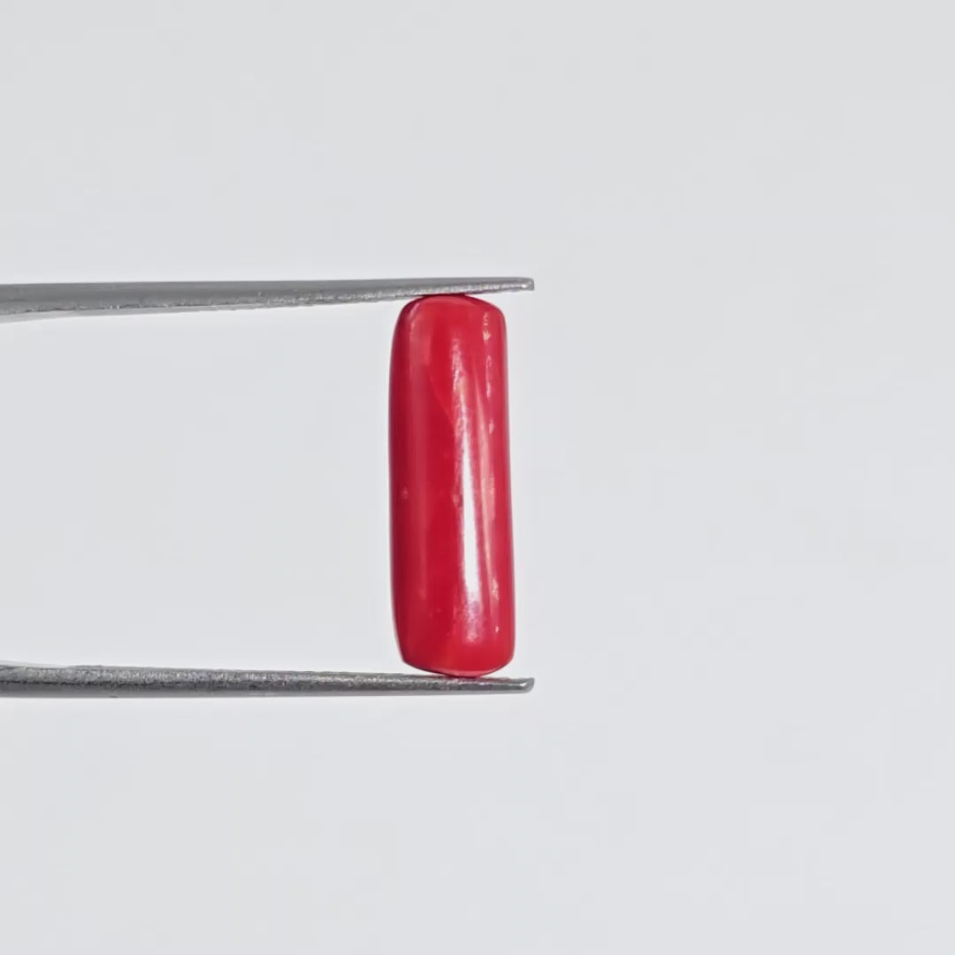 Natural Red Coral (Moonga) - 6.20 Carats
