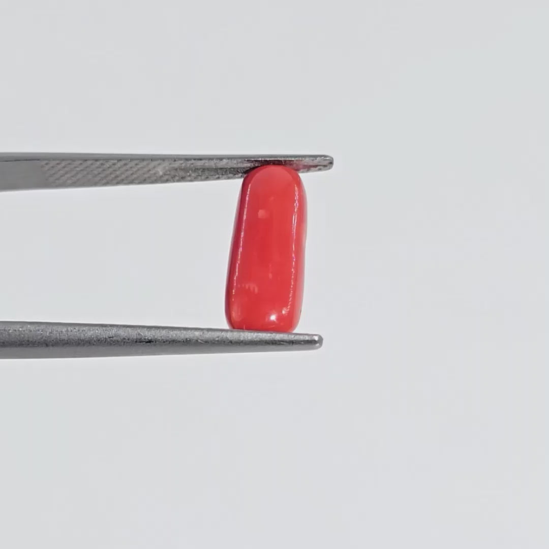 Natural Red Coral (Moonga) - 6.60 Carats