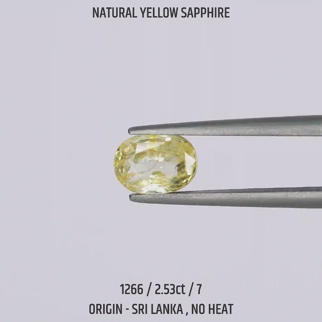 Yellow Sapphire - 1266-2.53Ct-7