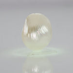 
                    
                      Load and play video in Gallery viewer, Natural Fresh Water Pearl - 7.86 Carats V
                    
                  