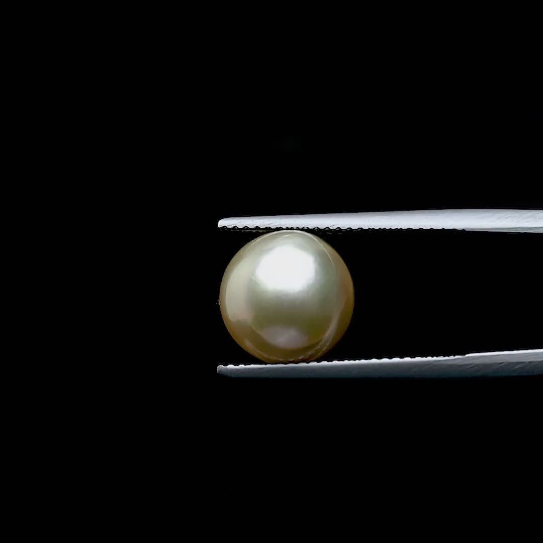 South Sea Pearl - 8.74 Carats