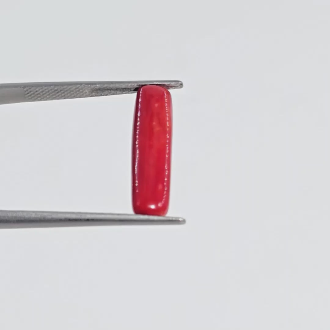 Natural Red Coral (Moonga) - 3.60 Carats