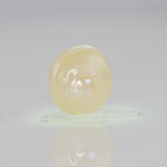 
                    
                      Load and play video in Gallery viewer, Natural Fresh Water Pearl - 7.38 Carats V
                    
                  