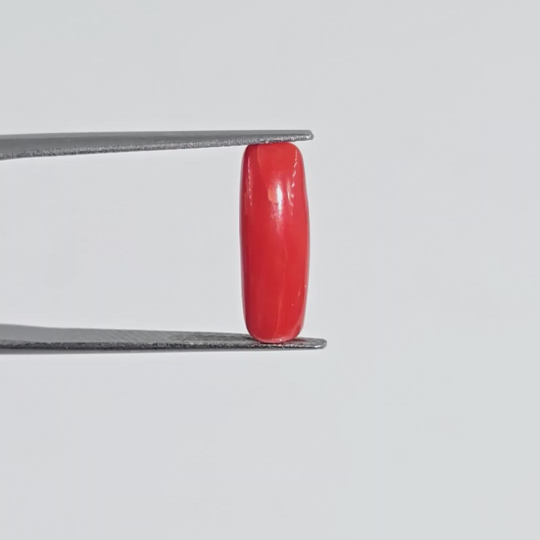 Natural Red Coral (Moonga) - 6.55 Carats