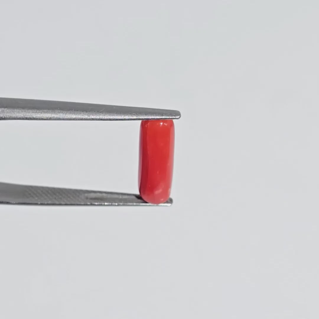 Natural Red Coral (Moonga) - 6.70 Carats