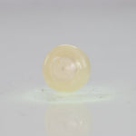 
                    
                      Load and play video in Gallery viewer, Natural Fresh Water Pearl - 4.85 Carats V
                    
                  