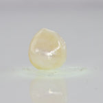 
                    
                      Load and play video in Gallery viewer, Natural Fresh Water Pearl - 6.63 Carats V
                    
                  