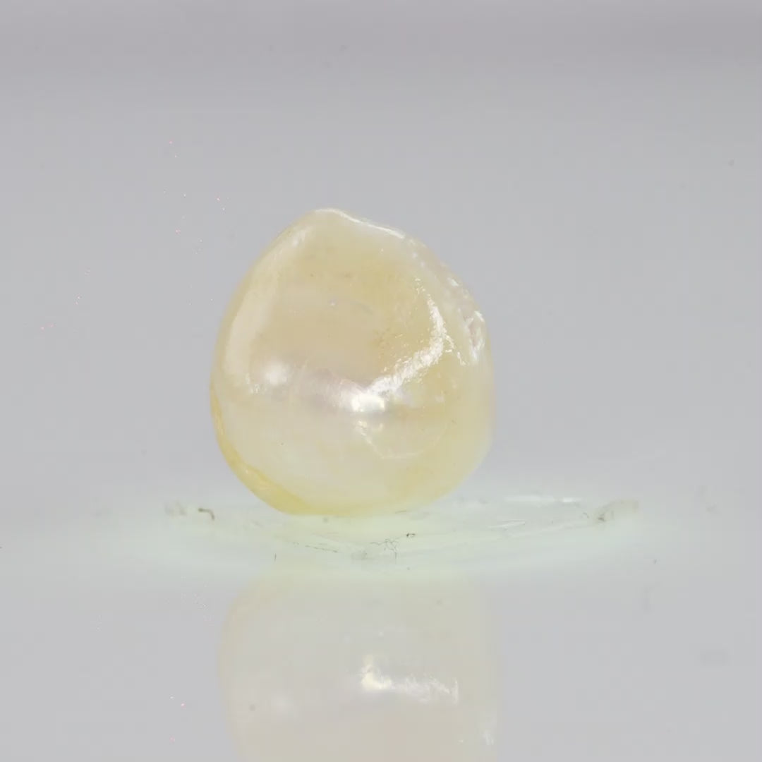 Natural Fresh Water Pearl - 6.63 Carats V