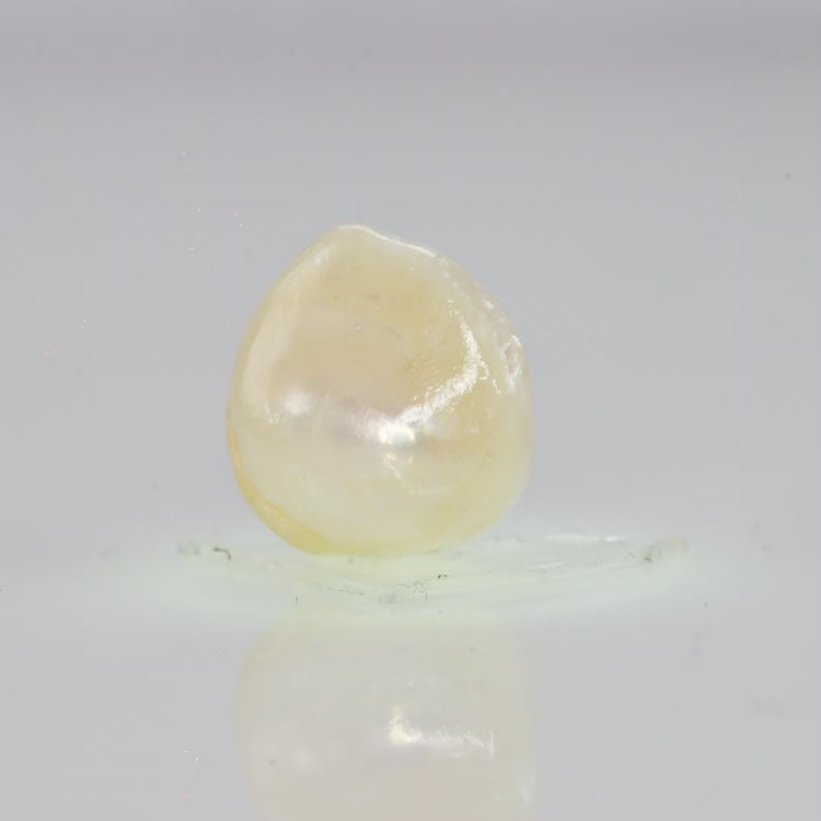 Natural Fresh Water Pearl - 6.63 Carats V