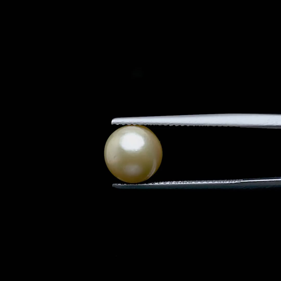South Sea Pearl - 4.79 Carats