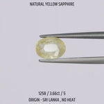 
                    
                      Load and play video in Gallery viewer, Yellow Sapphire - 1258-3.66Ct-5
                    
                  